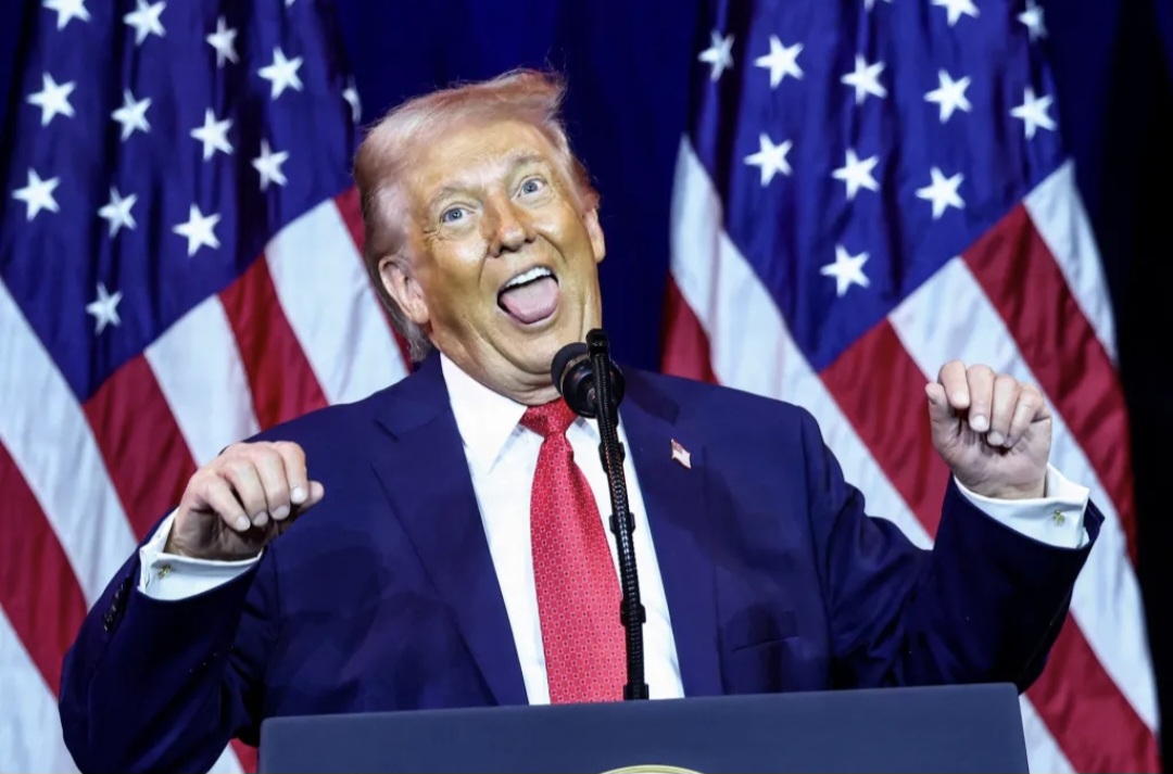 Politics Story Image