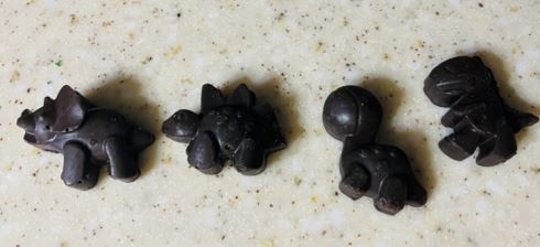 Dinosaur chocolates