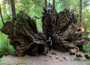 Morgan and her husband in a giant tree stump