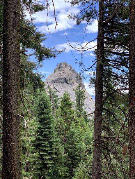 View of a foret and mountain