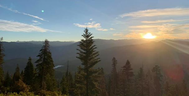 View of a forest with a sunset