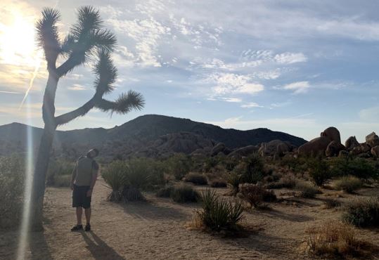Morgan's husband looking at a tree