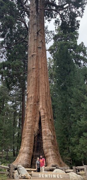 Morgan and her husband standing in front of a tall tree with a sign that says Sentinel