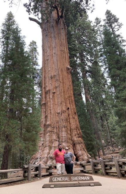 Morgan and her husband standing in front of a tall tree with a sign that says General Sherman