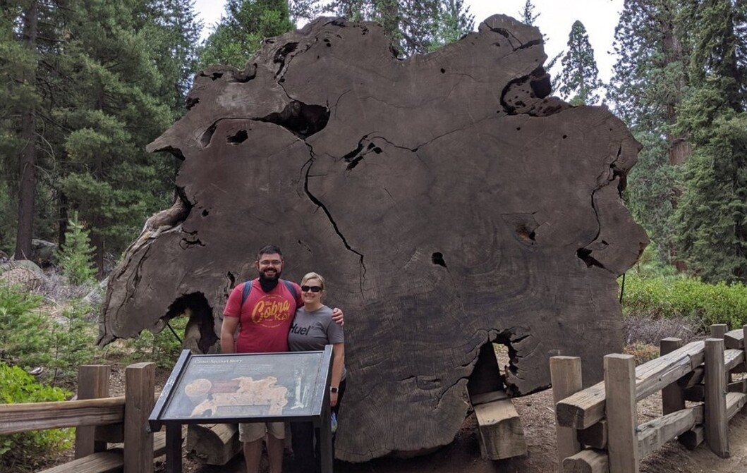 Log