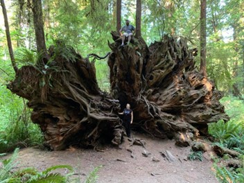 othertree